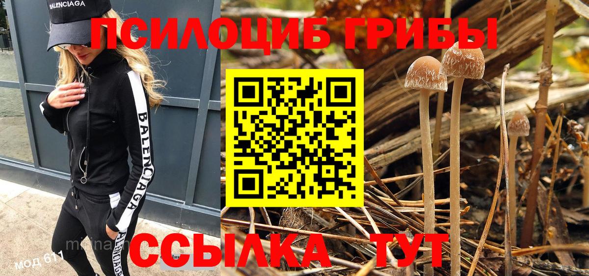 Псилоцибиновые грибы GOLDEN TEACHER Кизилюрт