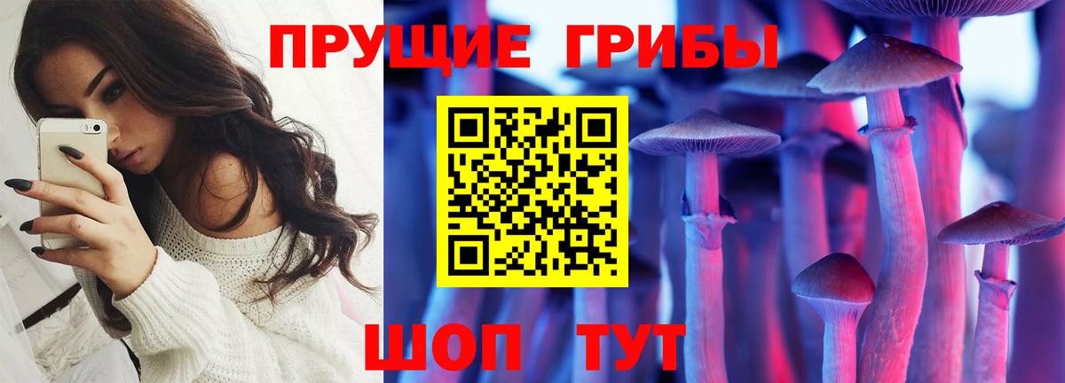 Кизилюрт  Псилоцибиновые грибы прущие грибы  Галлюциногенные грибы ЛСД  Вход с VPN 